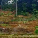 Longsor-Terjang-Sawah-di-Tasikmalaya-Panggilan-Azan-Ashar-Selamatkan-Warga-696x392