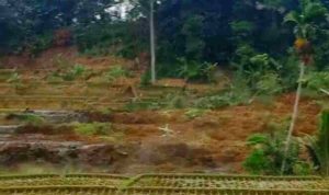 Longsor-Terjang-Sawah-di-Tasikmalaya-Panggilan-Azan-Ashar-Selamatkan-Warga-696x392